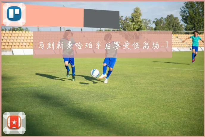 马刺新秀哈珀季后赛受伤离场_1
