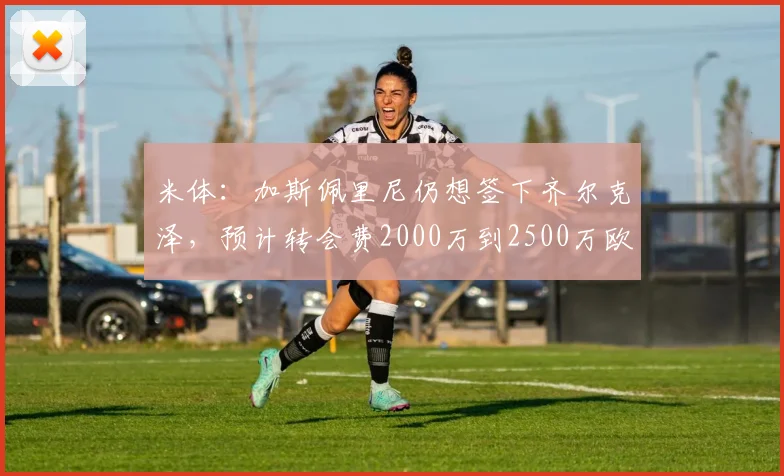 米体：加斯佩里尼仍想签下齐尔克泽，预计转会费2000万到2500万欧